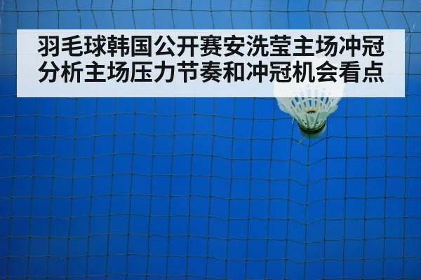 badminton shuttlecock net closeup