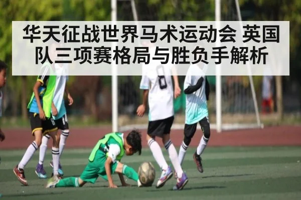 华天征战世界马术运动会 英国队三项赛格局与胜负手解析